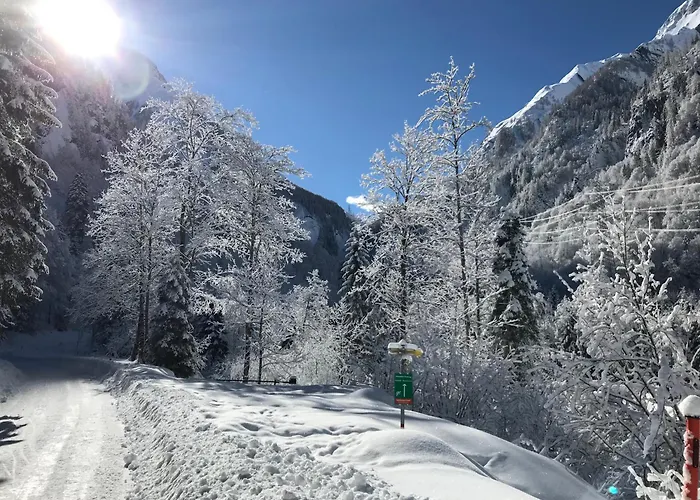 Guest house Alpenhaus Kesselfall, Near The Kitzsteinhorn Glacier 3*